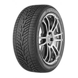 BluEarth® Winter V905